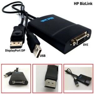 Bizlink Displaypoort DVI dongle kit